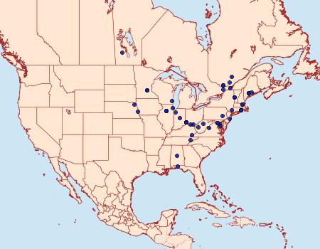 Distribution Data for Nemapogon auropulvella