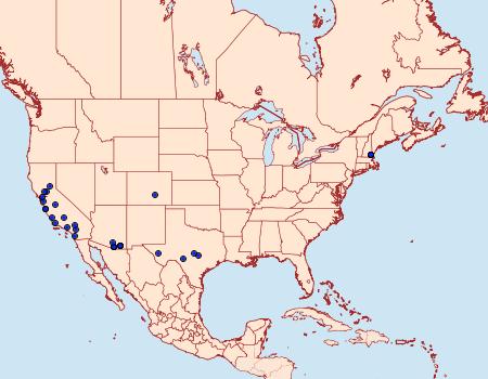 Distribution Data for Nemapogon defectella