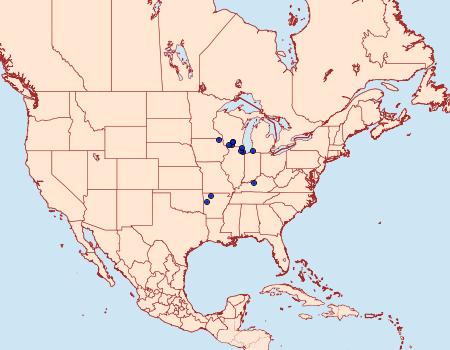 Distribution Data for Tebenna silphiella