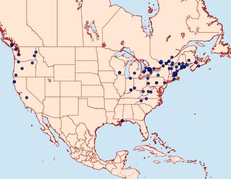 Distribution Data for Choreutis pariana