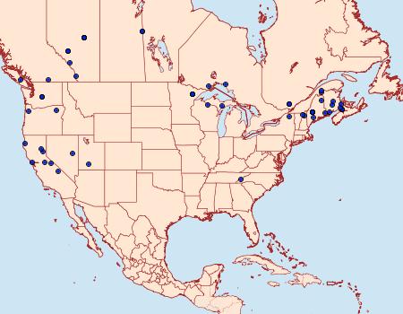 Distribution Data for Choreutis diana