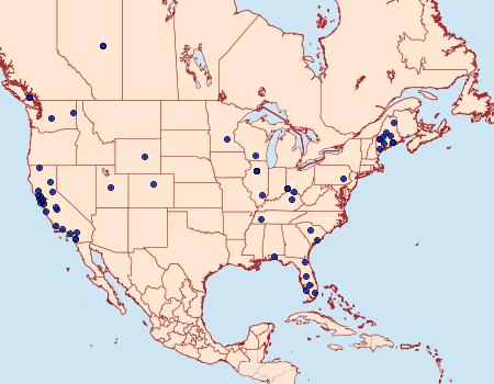 Distribution Data for Nemapogon granella