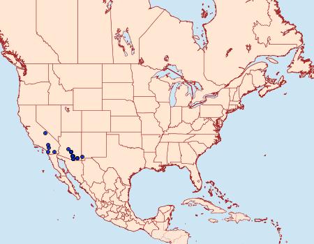 Distribution Data for Givira mucidus