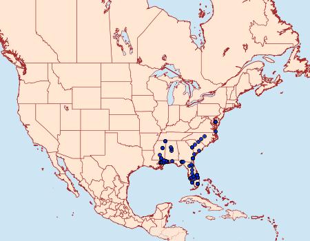 Distribution Data for Givira francesca