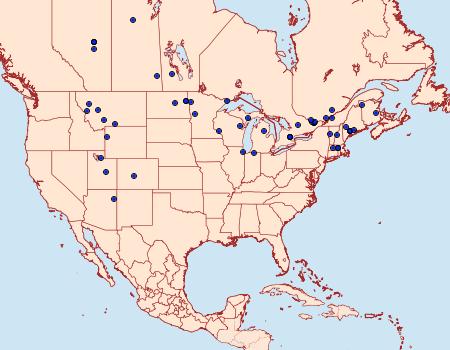 Distribution Data for Acossus centerensis