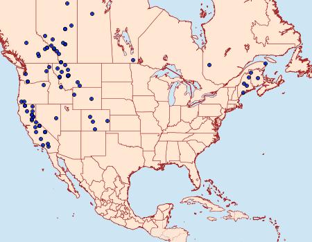 Distribution Data for Acossus populi