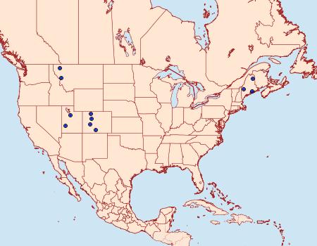 Distribution Data for Acossus undosus