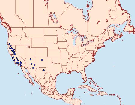 Distribution Data for Toronia perplexus