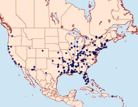 Distribution Data for Episimus argutana