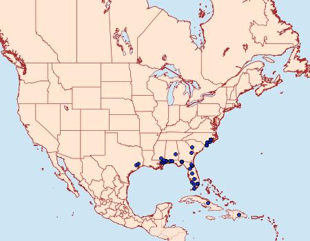 Distribution Data for Cryptaspasma bipenicilla