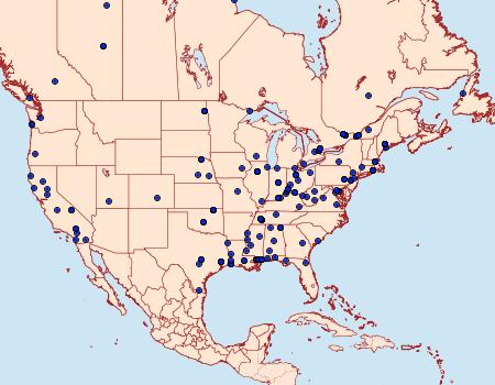 Distribution Data for Bactra furfurana