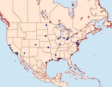 Distribution Data for Bactra maiorina