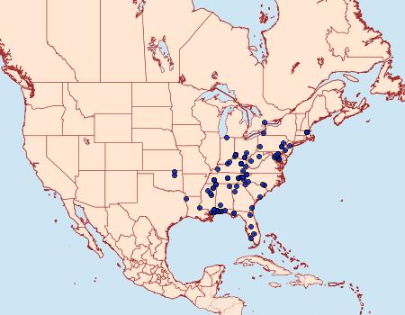 Distribution Data for Paralobesia liriodendrana