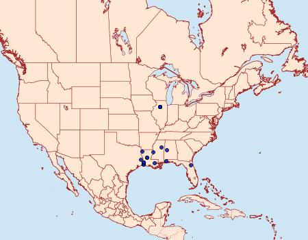 Distribution Data for Endothenia microptera