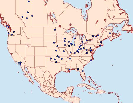 Distribution Data for Endothenia nubilana