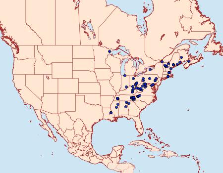 Distribution Data for Hulda impudens