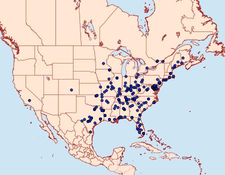 Distribution Data for Eumarozia malachitana