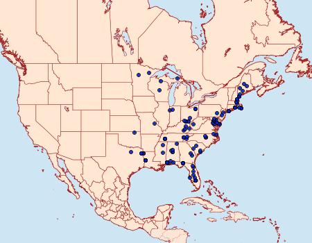 Distribution Data for Zomaria interruptolineana