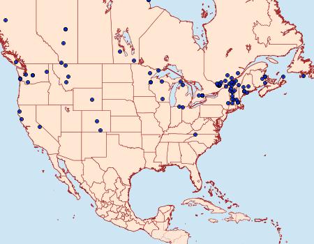 Distribution Data for Apotomis capreana