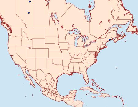 Distribution Data for Apotomis paludicolana