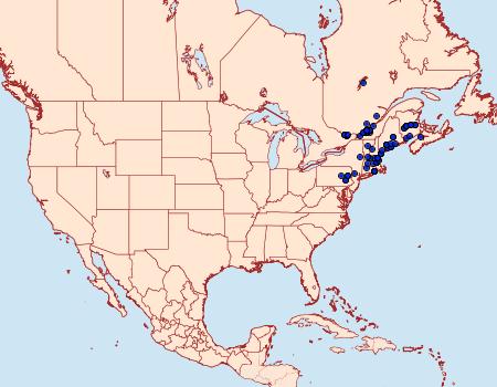 Distribution Data for Apotomis albeolana