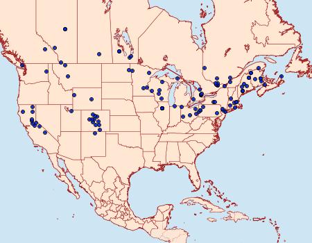 Distribution Data for Pseudosciaphila duplex