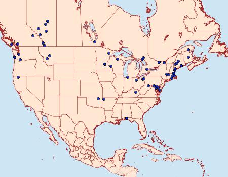 Distribution Data for Orthotaenia undulana