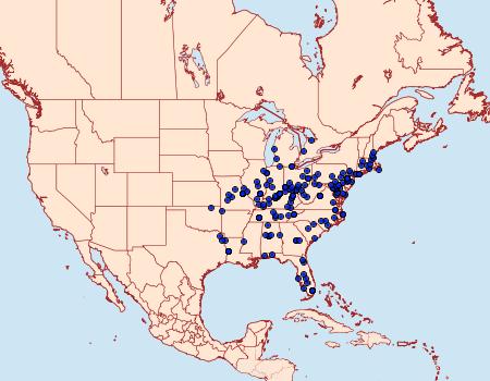 Distribution Data for Phaecasiophora niveiguttana