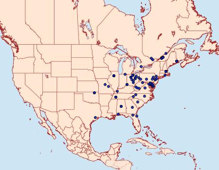 Distribution Data for Olethreutes furfuranum