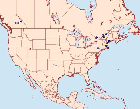 Distribution Data for Olethreutes electrofuscum