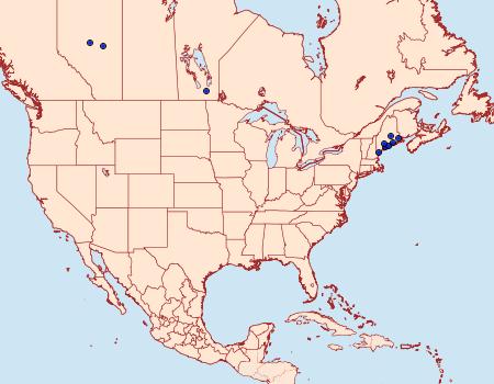 Distribution Data for Olethreutes rusticanum