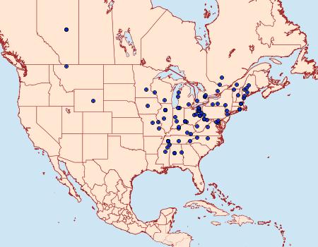 Distribution Data for Olethreutes inornatana