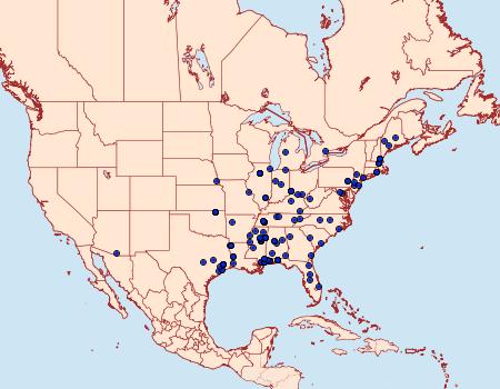 Distribution Data for Diachorisia velatella