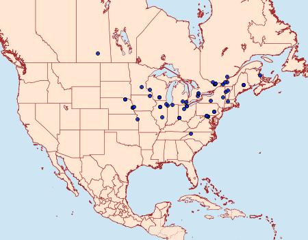 Distribution Data for Olethreutes exoletum