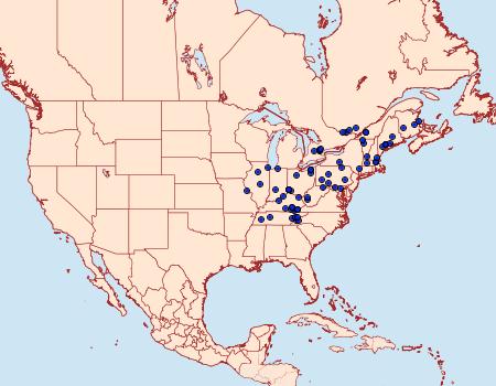 Distribution Data for Olethreutes nigranum