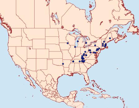 Distribution Data for Olethreutes hamameliana