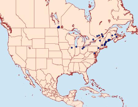 Distribution Data for Olethreutes valdanum