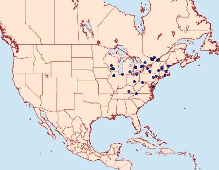 Distribution Data for Olethreutes malana