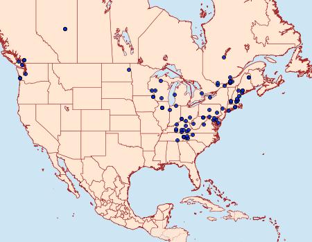 Distribution Data for Olethreutes appendiceum