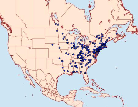 Distribution Data for Olethreutes fasciatana