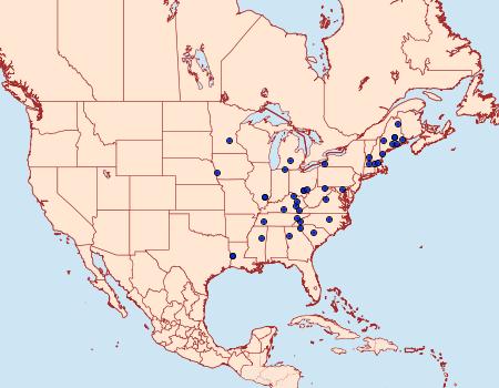 Distribution Data for Olethreutes lacunanum