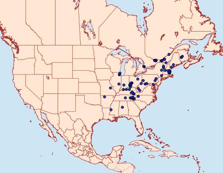 Distribution Data for Olethreutes ferriferana