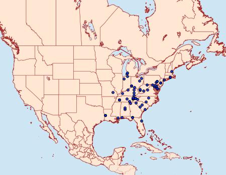 Distribution Data for Olethreutes griseoalbana