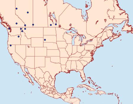 Distribution Data for Olethreutes galaxana