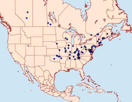 Distribution Data for Olethreutes astrologana