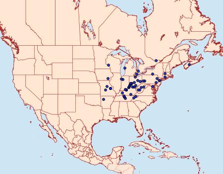 Distribution Data for Olethreutes ferrolineana