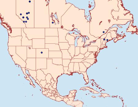 Distribution Data for Phiaris metallicana