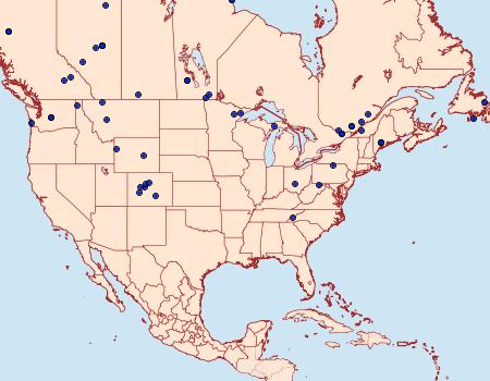 Distribution Data for Phiaris glaciana