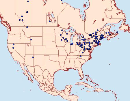 Distribution Data for Olethreutes bipartitana