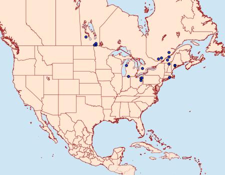 Distribution Data for Olethreutes trinitana